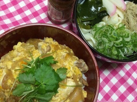 とろとろ親子丼とミニうどん